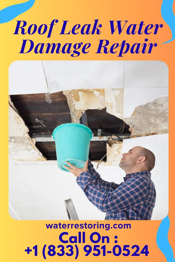 Roof Leak Water Damage Repair in Lorenzo, NE